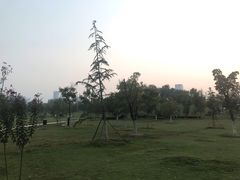 -滨湖塘西河公园