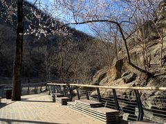-白水寺森林公园
