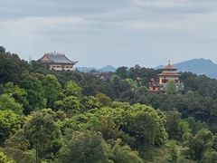 -铁山坪森林公园