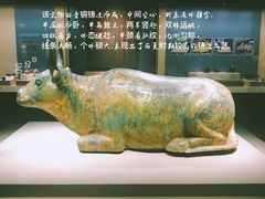 -宁夏博物馆
