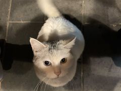 -张记牛肉面馆(天津路店)