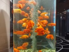 -红鱼湾餐厅(国际大厦店)