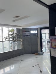 点击看大图 -藤野造型