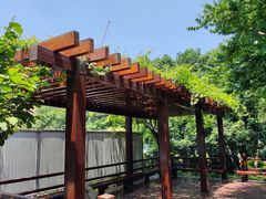 -静安公园(静安寺街道)