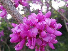 -尹兰楼西北风情餐厅(嘉定店)