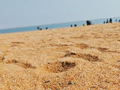 -天津东疆湾沙滩景区