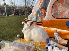 -上海海湾国家森林公园