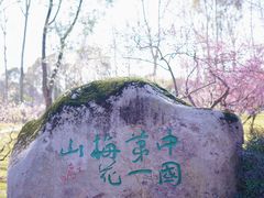 -梅花山(明孝陵内)
