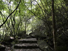 -岳西天峡风景区