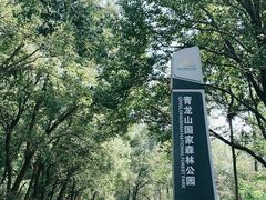 -青龙山国家森林公园