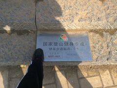 -五龙城郊森林公园