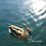 济南旅游｜穿梭老街感受旧时泉城济南意趣