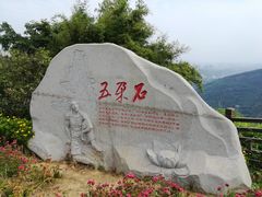 -铁山坪森林公园