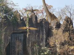 -昆明动物园