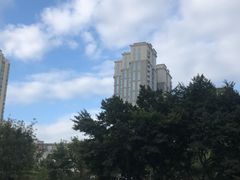 -BeauTea水仙(coco park店)