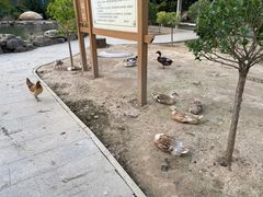 -森林公园(尖草坪区)