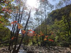 -大连天门山国家森林公园