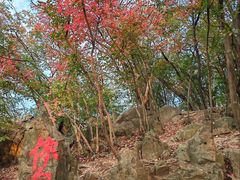 -紫金山山顶公园