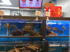 -盒马鲜生(宝地店)