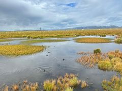 -花湖生态旅游区