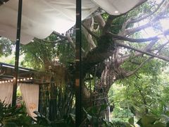 -樾餐厅泰式海鲜火锅(民歌湖店)
