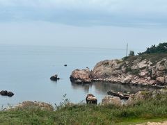 -养马岛旅游度假区