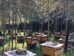 -会稽山峡洞漂流-上青古道