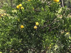 -东钱湖旅游度假区