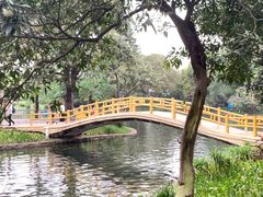 -晓港公园