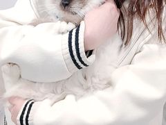 -楼上猫咖(罗湖店)