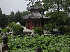 -莲池书院博物馆