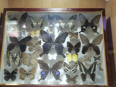 -陕西自然博物馆