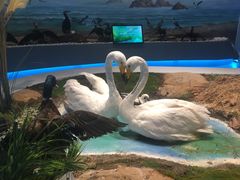 -大连市规划展示中心