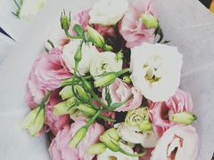 -秦美花卉(天朗·莱茵小城2期店)
