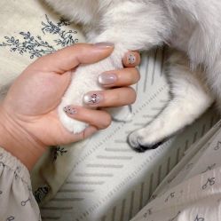 -小洁美甲美睫半永久定妆