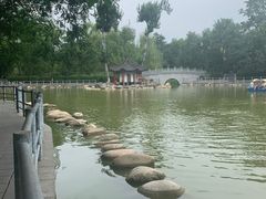 -莲湖公园