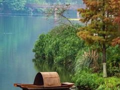 -重庆彩云湖湿地公园