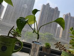 点击看大图 -尚艺造型.剪烫染.接发