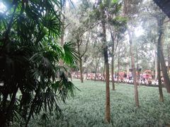 -成都武侯祠博物馆