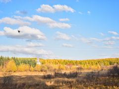 -塞罕坝国家级自然保护区