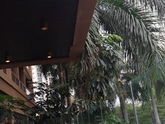 -三亚湾红树林度假世界(木棉酒店)
