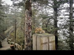 -西岭雪山大飞水景区