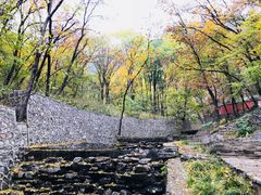 -北京上方山国家森林公园