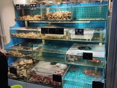 -北戴河庆山饭店·海鲜砂锅粥(北戴河黑石路店)