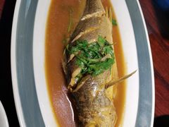 大黄鱼-前海沿·青岛菜(五四广场永旺店)