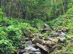 -火炉山森林公园