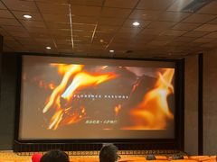 -华美国际影城(旧宫永辉店)