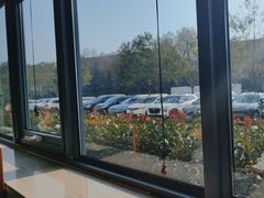 -郑庄脂渣海鲜楼(九水路店)