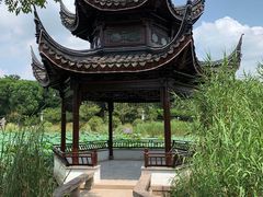 -花溪公园