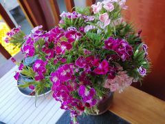 -嘉华鲜花饼(大理元帅府店)